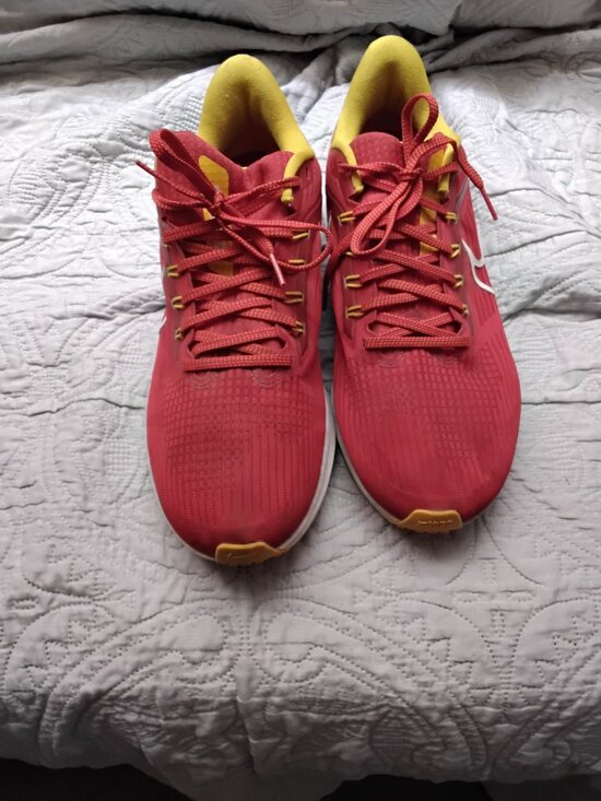 Nike Air Zoom Pegasus 39 - Kansas City Chiefs NFL Special Edition (Size 10.5 main image 9